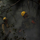 Illustration for article titled What Makes Wildfires So Distinctive?